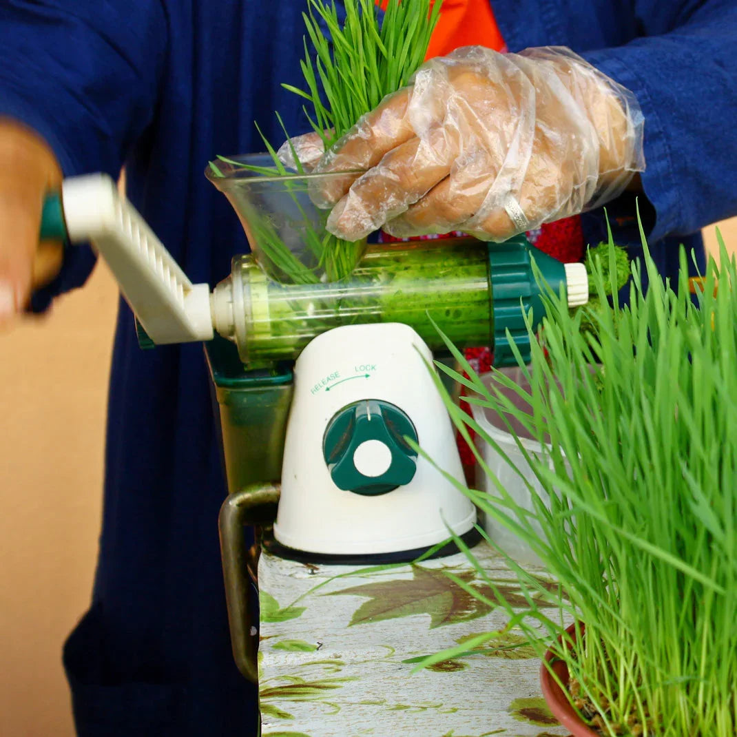 Mannavita raw wheatgrass juice powder • gluten-free • 140g - Mannavita