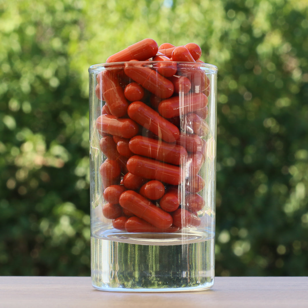 FEMNOX Royal Jelly + Inositol + Foliumzuur + B12-complex • 90 capsules