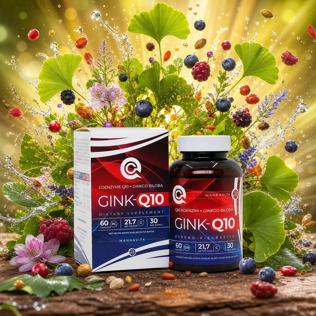 GINK-Q10 • Q10 Co-enzym + Ginkgo Biloba-complex • 60 capsules
