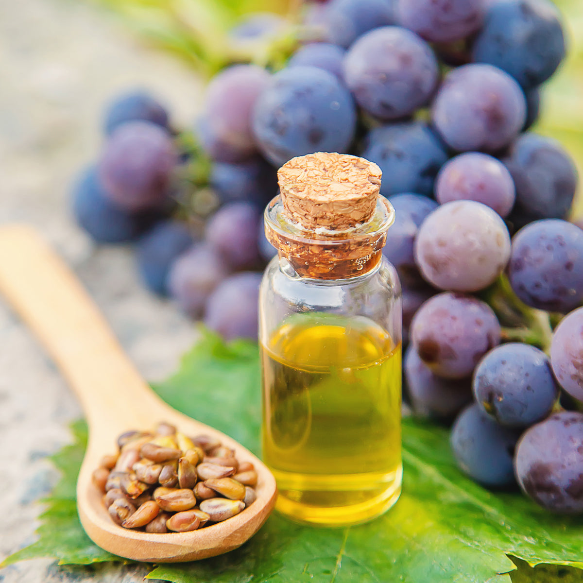 Mannavita Hongaarse koudgeperste druivenpitolie • 250 ml