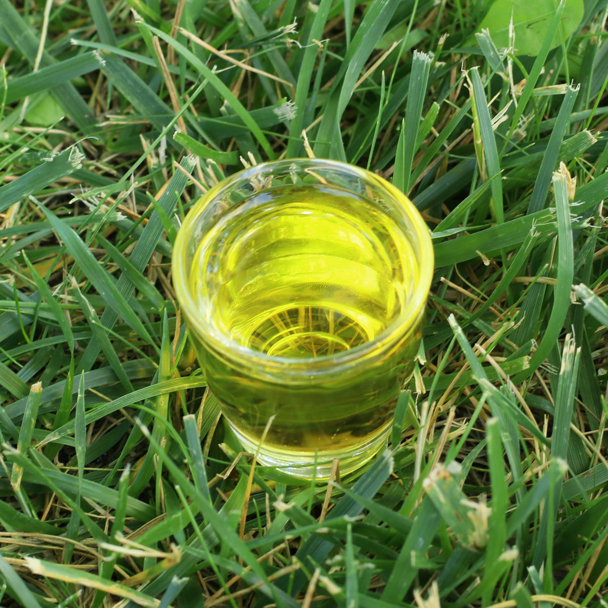 Mannavita Hongaarse koudgeperste mariadistelzaadolie • 250 ml