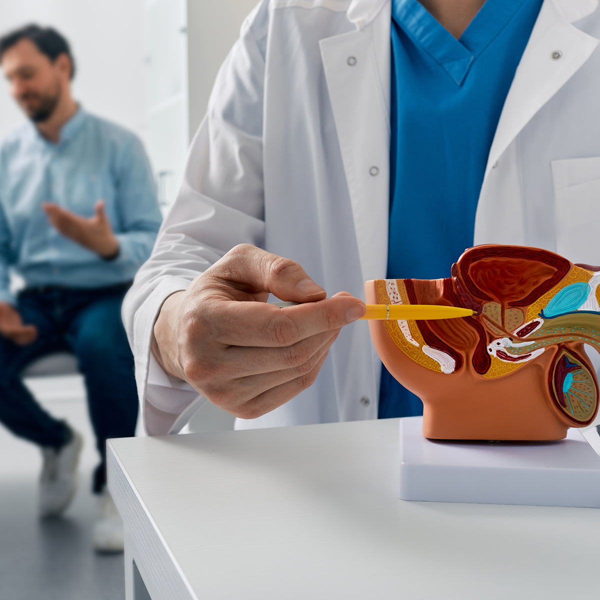 PROSTAX prostaatcomplex • 60 capsules