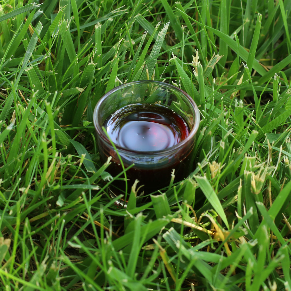 Mannavita Hongaarse koudgeperste pompoenpitolie • 250 ml