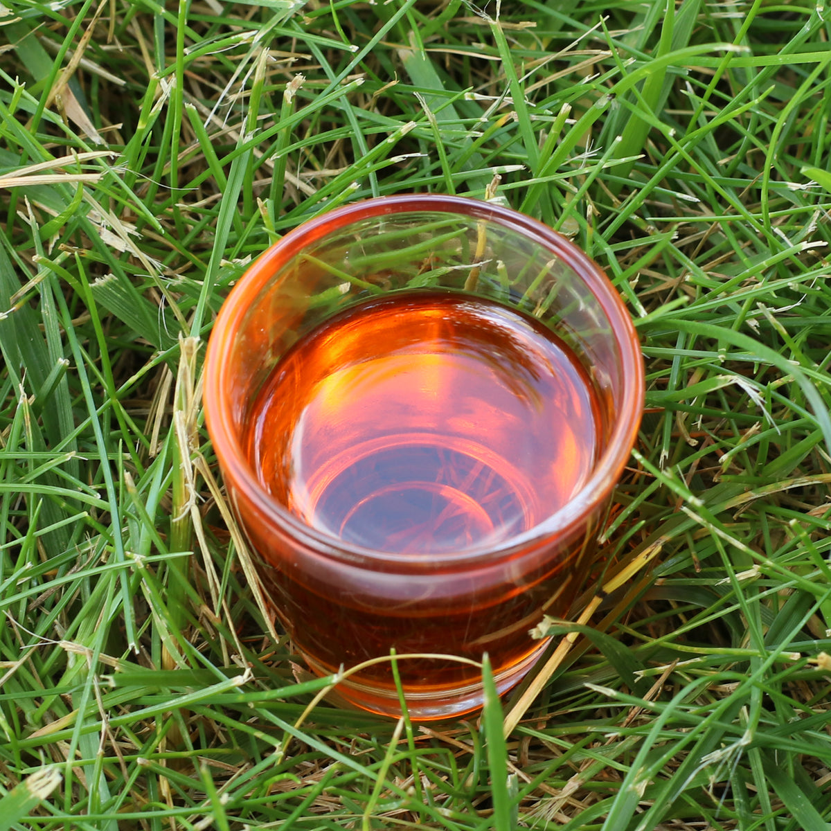 Mannavita Hongaars koudgeperste duindoornzaadolie • 40 ml