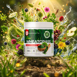 Mannavita rauw Tarwegrassap Poeder • glutenvrij • 140g