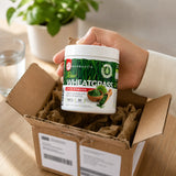 Mannavita rauw Tarwegrassap Poeder • glutenvrij • 140g