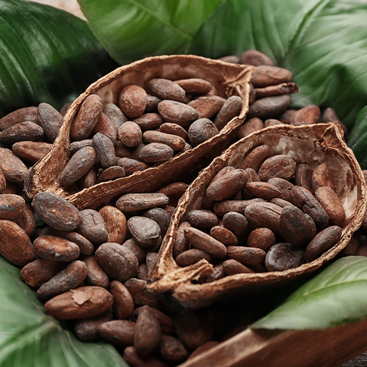 Bilbo rauwe cacaohoning • 250 g