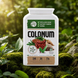 COLONUM darmreiniging & darmherstel capsules • 100 capsules