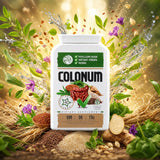 COLONUM darmreiniging & darmherstel capsules • 100 capsules