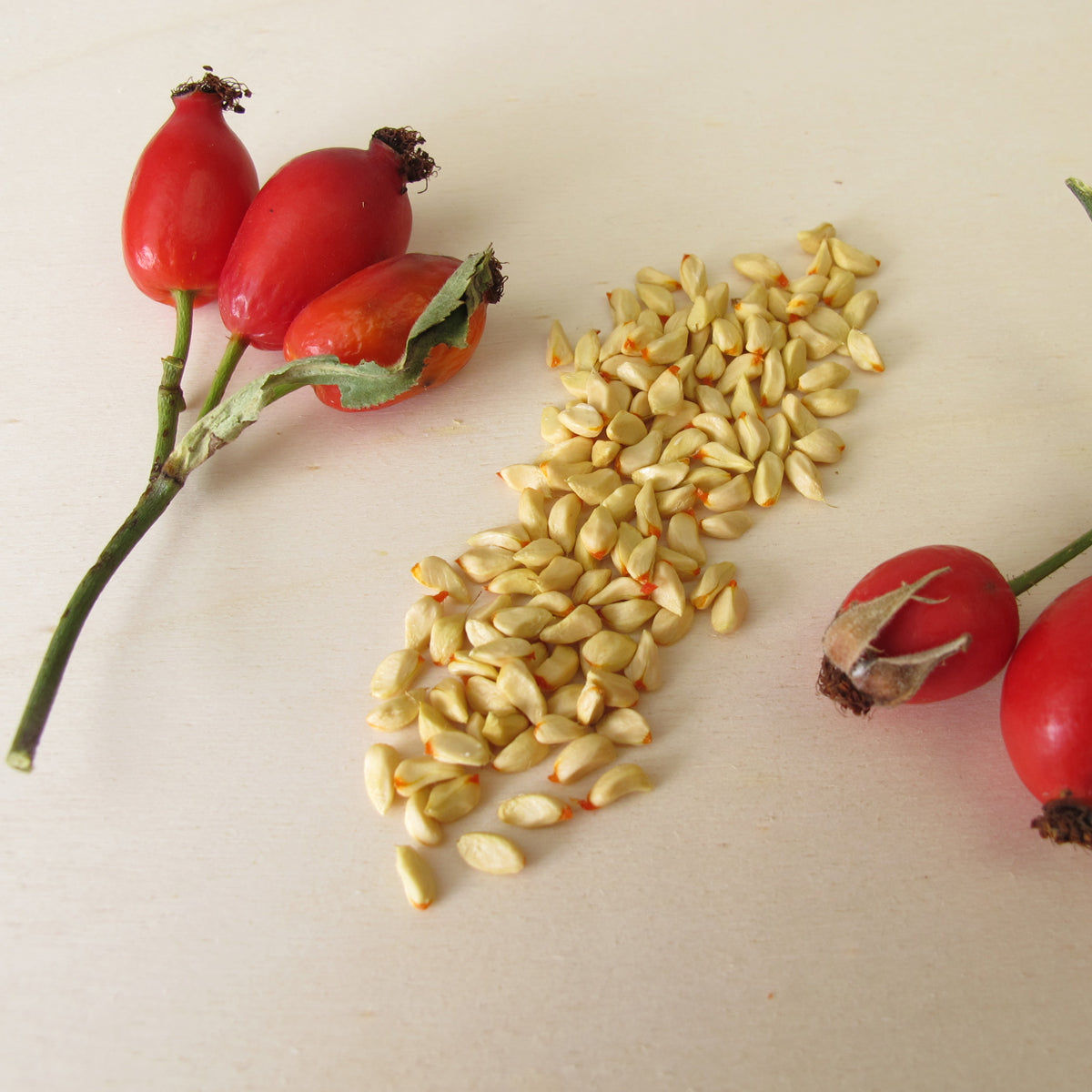 Mannavita Hongaars koudgeperste rozenbottelzaadolie • 40 ml