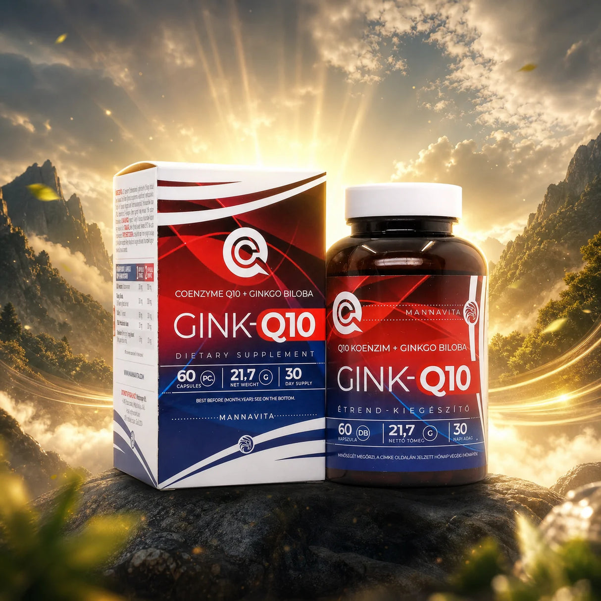 GINK-Q10 • Q10 Co-enzym + Ginkgo Biloba-complex • 60 capsules