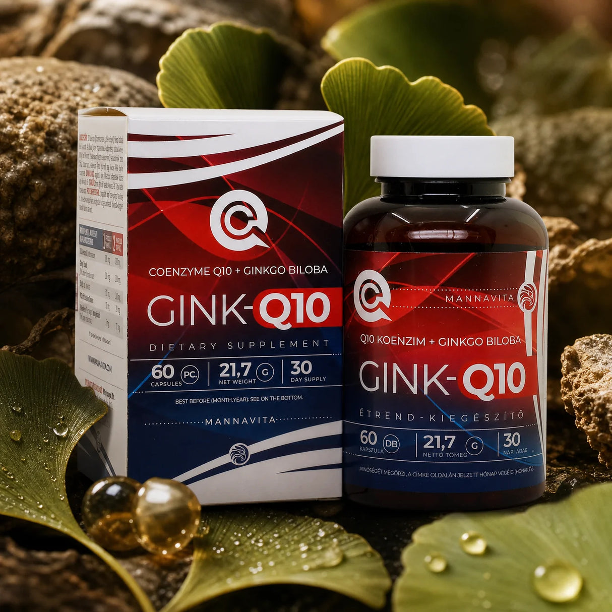 GINK-Q10 • Q10 Co-enzym + Ginkgo Biloba-complex • 60 capsules