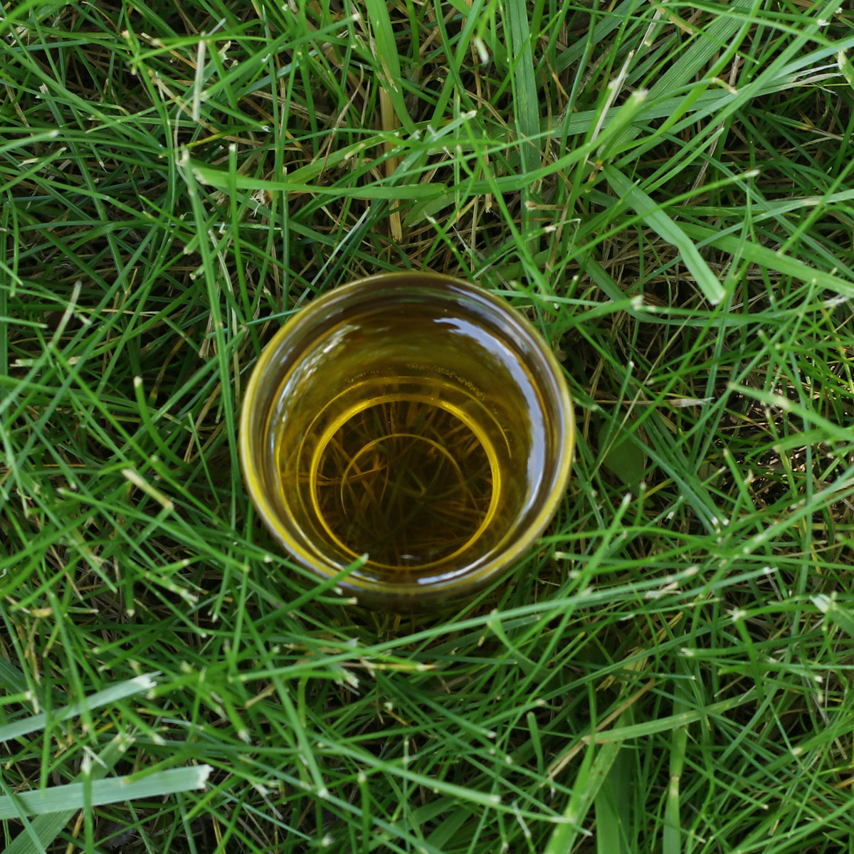 Mannavita Hongaarse koudgeperste druivenpitolie • 250 ml