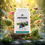 HEPADEX lever-regenererend en levergezondheid-verbeterend complex • 60 capsules