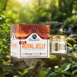 Geconcentreerd Royal Jelly poeder, met 6% 10-HDA-gehalte • 20g