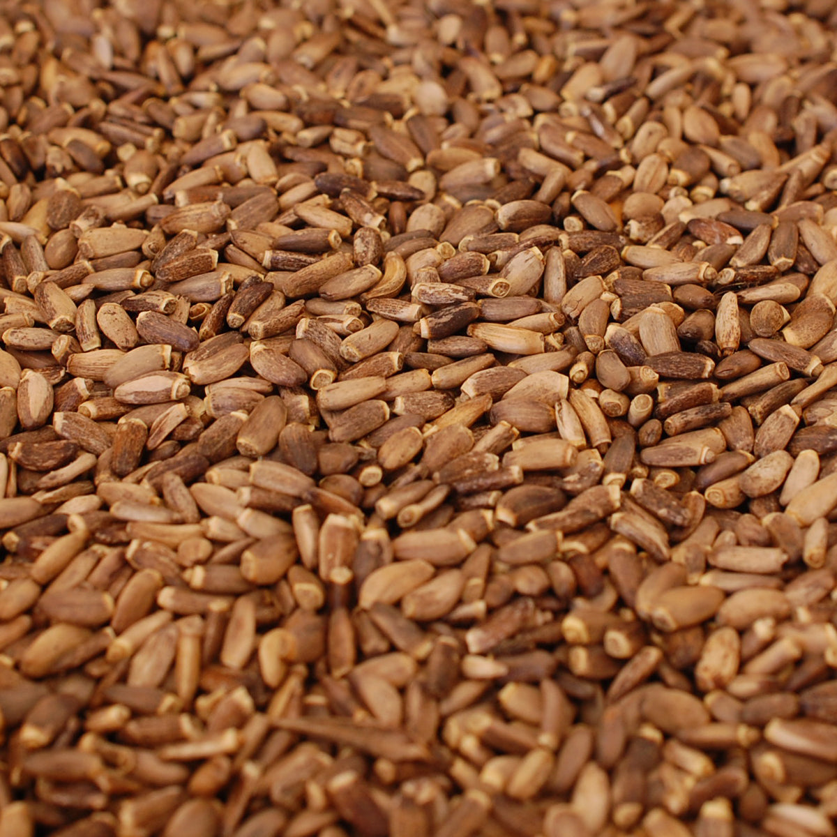 Mannavita Hongaarse koudgeperste mariadistelzaadolie • 250 ml