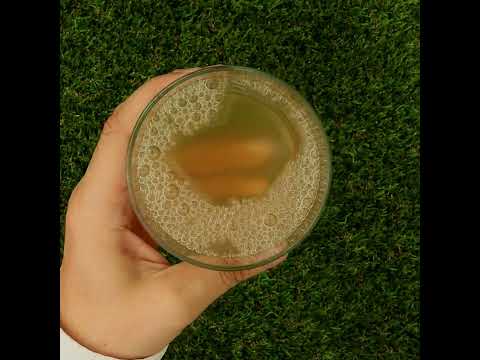 Mannavita Aloë vera 100% puur geperst sap • 1000 ml