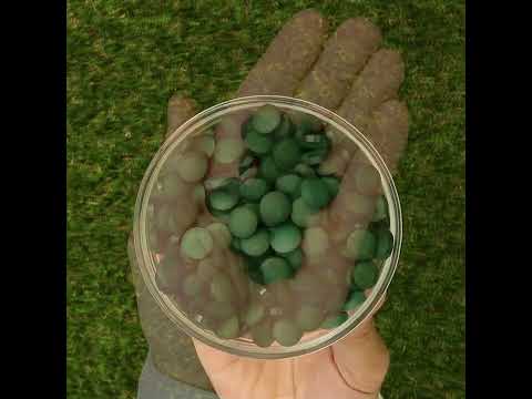 Mannavita Spirulina 500 mg tabletten • 180 st.