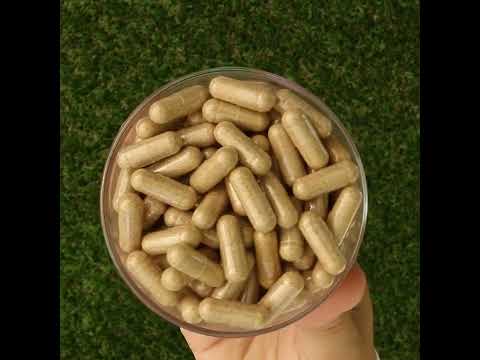 Ashwarax voor verlichting van angst, paniek en slapeloosheid • 90 capsules