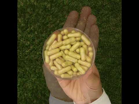 ENZIMA+ complex van spijsverteringsenzymen, met Betain HCL • 90 capsules