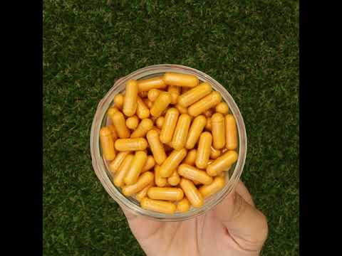 KURKUNEX kurkuma-extractcomplex • 90 capsules