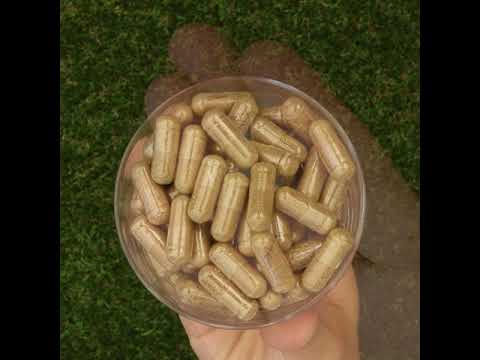 HEPADEX lever-regenererend en levergezondheid-verbeterend complex • 60 capsules