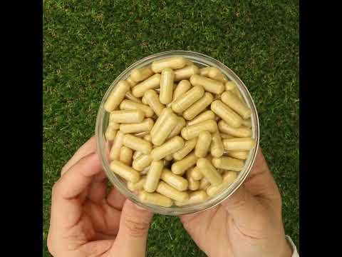 COLONUM darmreiniging & darmherstel capsules • 100 capsules