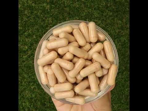 PrOcum Eye strengthening complex • 60 capsules