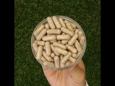 Mannavita Vitamine C-complex • 250 mg bioactief • 60 capsules