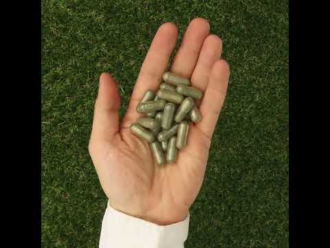 IMUNEX algencomplex • met 5 algen • 180 capsules