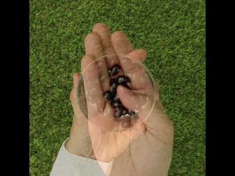 MegaKRILL 1500 mg Krillolie + Visolie • 90 capsules