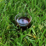 Mannavita Hongaarse koudgeperste pompoenpitolie • 250 ml