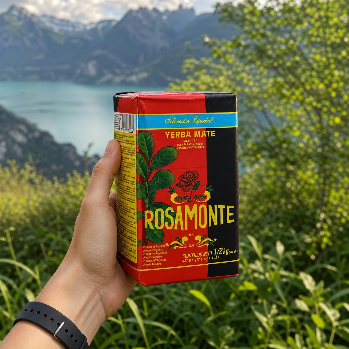 Rosamonte yerba maté-thee • SPECIAAL • 500 g